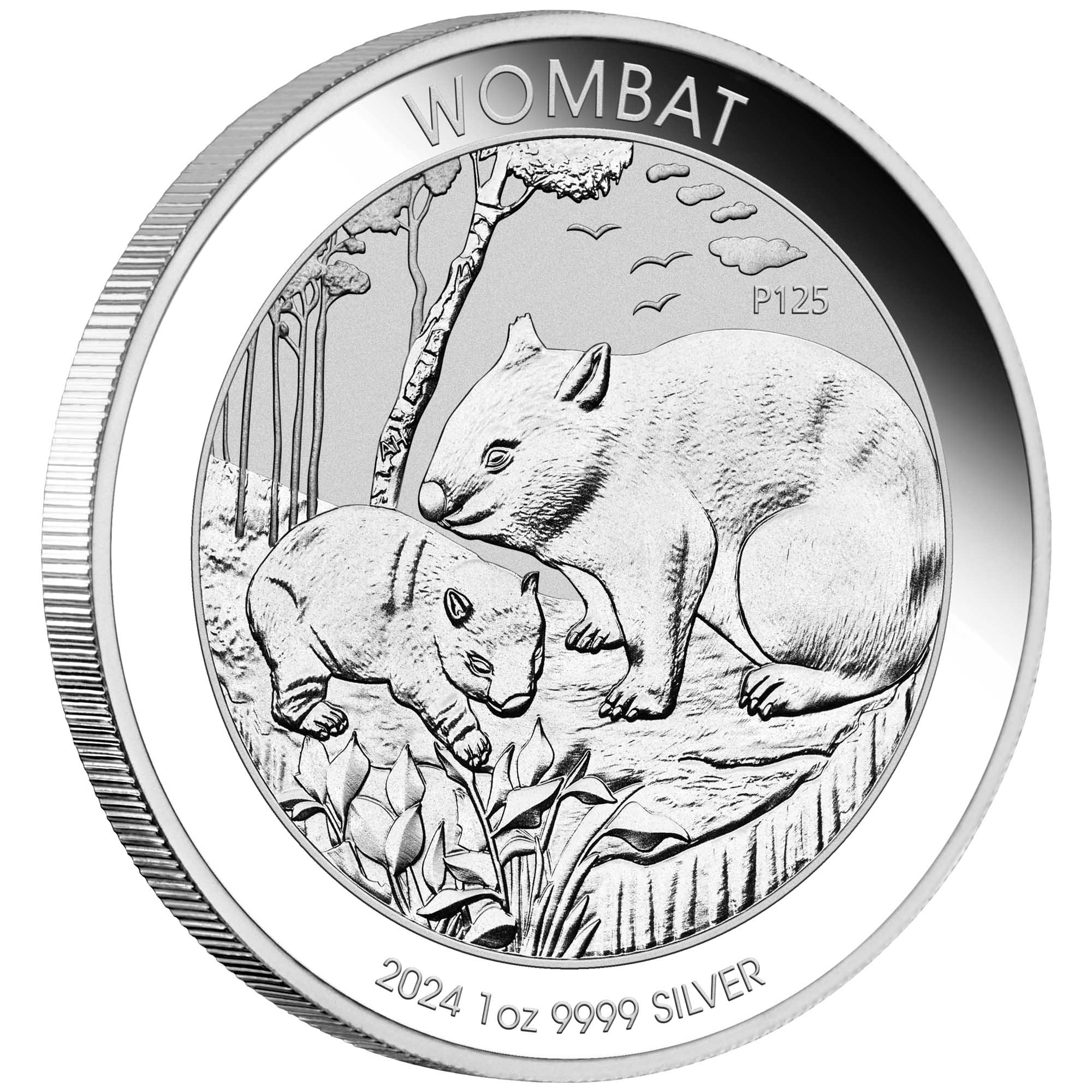 Australia - 1 dólar (1 oz) Wombat, Carlos III